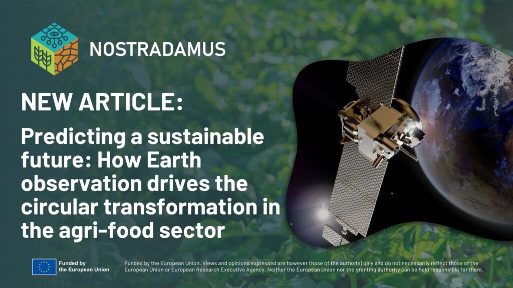 Predicting a sustainable future: How Earth observation drives the circular transformation in the agri-food sector